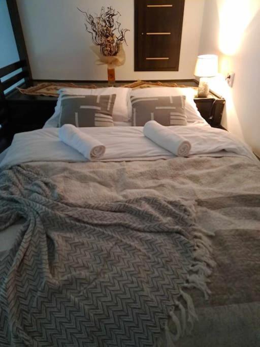Sofia'S Home Comfy Studio In The Old Town ブラショフ エクステリア 写真