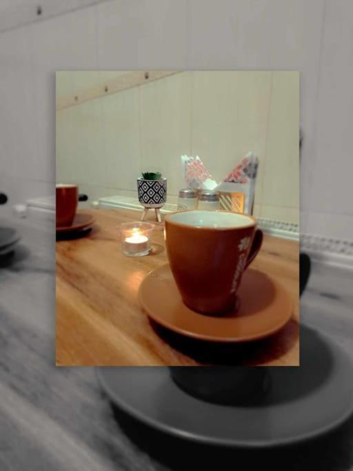 Sofia'S Home Comfy Studio In The Old Town ブラショフ エクステリア 写真