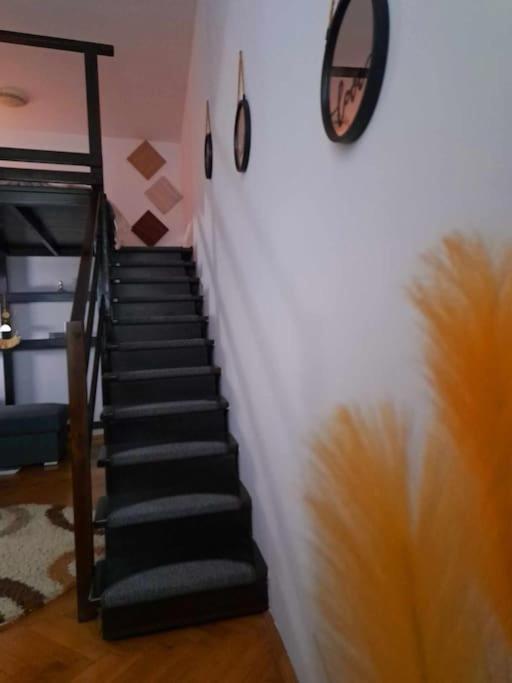 Sofia'S Home Comfy Studio In The Old Town ブラショフ エクステリア 写真
